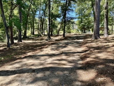 Charming Southside Cabin!
SG 17 Lake Cherokee - photo 24