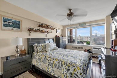 Bright 3-bedroom, 2-bathroom co-op in the heart of Long Beach - photo 13
