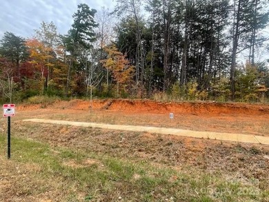 Lake Norman Lot For Sale in Denver North Carolina