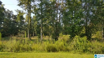Beautiful lot perfect for building a home. Great opportunity in - Lake Lot For Sale in Cropwell, Alabama