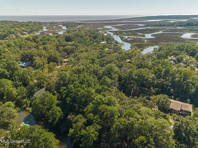 Discover a rare opportunity to build your dream home on this - photo 10