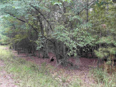 Lake Murray Lot For Sale in Batesburg South Carolina