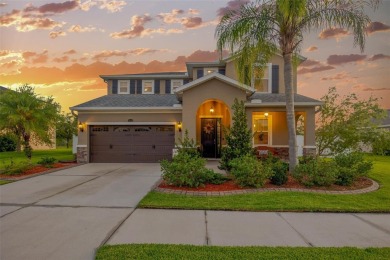 Lake Home For Sale in Wesley Chapel, Florida