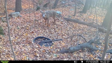 Built for whitetails, waterfowl, and life on the river, this 6 - photo 9