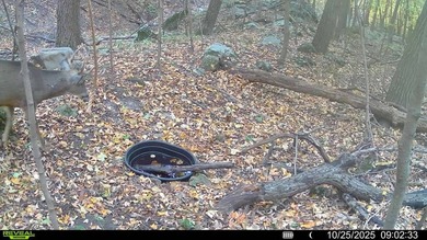 Built for whitetails, waterfowl, and life on the river, this 6 - photo 10