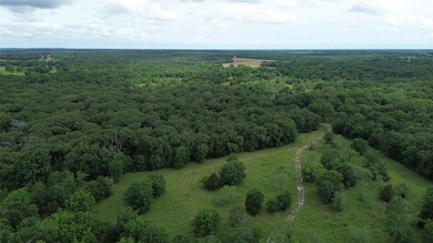 442 acres of premier hunting and recreational land in Navarro - photo 5