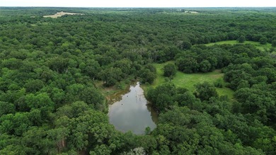442 acres of premier hunting and recreational land in Navarro - photo 6