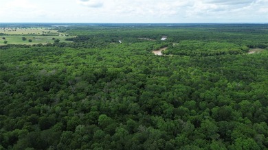 442 acres of premier hunting and recreational land in Navarro - photo 7