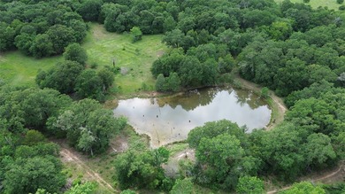 442 acres of premier hunting and recreational land in Navarro - photo 8