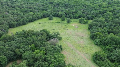 442 acres of premier hunting and recreational land in Navarro - photo 9