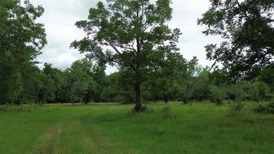 442 acres of premier hunting and recreational land in Navarro - photo 10