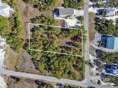 Exempt from ITP/Beach Mouse Permit! Build your dream home or - photo 4