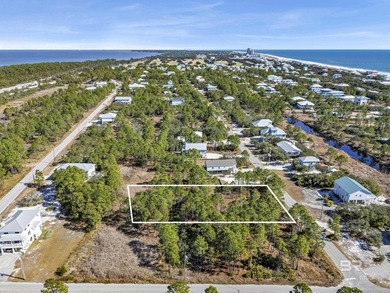 Exempt from ITP/Beach Mouse Permit! Build your dream home or - photo 5
