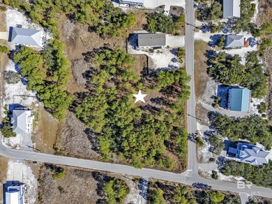 Exempt from ITP/Beach Mouse Permit! Build your dream home or - photo 7