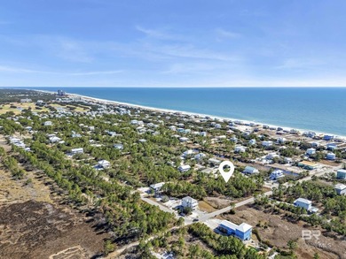 Exempt from ITP/Beach Mouse Permit! Build your dream home or - photo 8