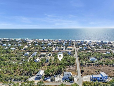 Exempt from ITP/Beach Mouse Permit! Build your dream home or - photo 10