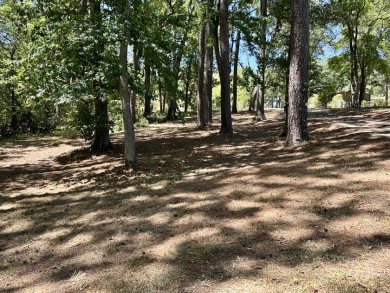 Charming Southside Cabin!
SG 17 Lake Cherokee - photo 22