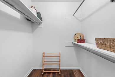 Newly remodeled Cute Townhome nestled in the heart of Irmo. Open - photo 15