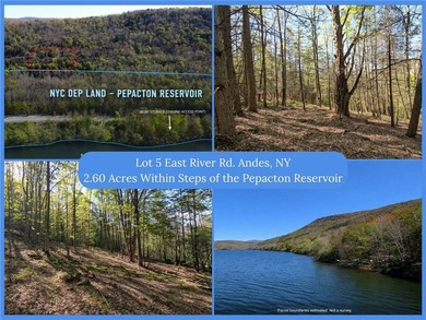 Just south of the Pepacton Reservoir on the scenic south side of - photo 1