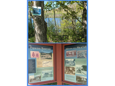 Just south of the Pepacton Reservoir on the scenic south side of - photo 10
