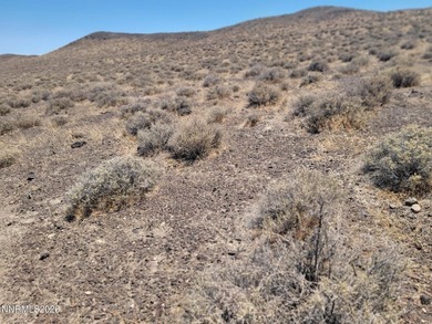 An opportunity to own a rare piece of Northern Nevada land - photo 33