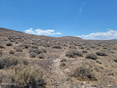 An opportunity to own a rare piece of Northern Nevada land - photo 34