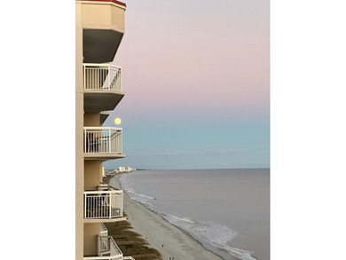 Welcome to Unit 1607 at Crescent Shores. A beautiful luxury - photo 48