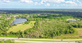 (private lake, pond, creek) Acreage For Sale in Bunnell Florida