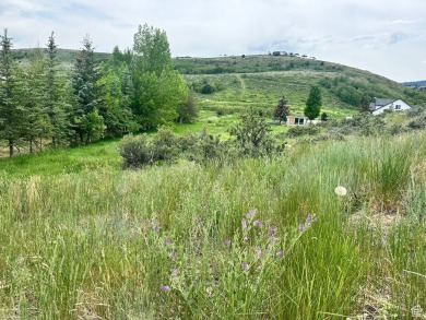 Bear Lake Lot For Sale in Garden City Utah