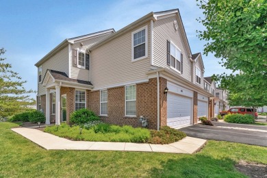 Lake Townhome/Townhouse Sale Pending in Plainfield, Illinois