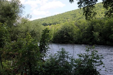 Enjoy beautiful Androscoggin River views from the spacious - photo 31