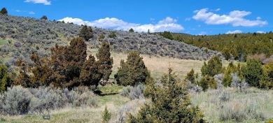 (private lake, pond, creek) Acreage For Sale in Alder Montana