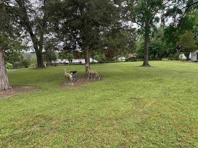WATER FRONT HOME! Situated on a stunning 1.52 acre lot, this - photo 36