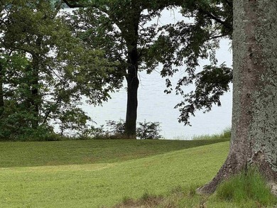 WATER FRONT HOME! Situated on a stunning 1.52 acre lot, this - photo 38