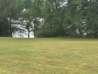 WATER FRONT HOME! Situated on a stunning 1.52 acre lot, this - photo 41