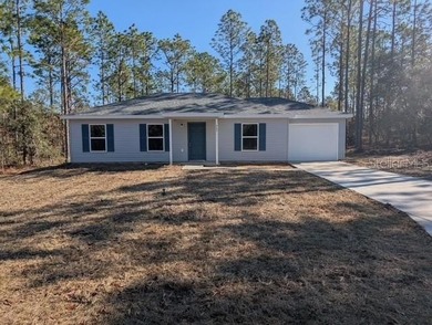 Bonable Lake Home For Sale in Dunnellon Florida