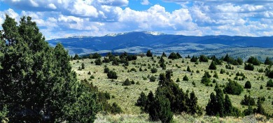 (private lake, pond, creek) Acreage For Sale in Alder Montana