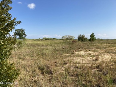 One of the last parcels directly on the beach overlooking the - photo 10
