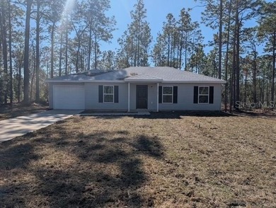 Bonable Lake Home For Sale in Dunnellon Florida