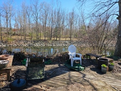 This ranch style home is being sold strictly as-is and requires - photo 11