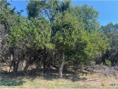 Lake Lot For Sale in Morgans Point, Texas