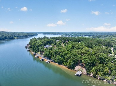 LAKEFRONT LUXURY | BIG WATER VIEWS | PRIVATE COVERED DOCK | - photo 46