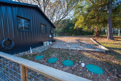 Glass Club Updated Cabin - photo 29