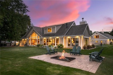 Lake Home For Sale in Elysian Twp, Minnesota