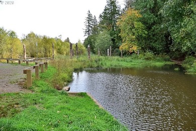 Quality Built Custom one-level home that backs to Kelly Creek - photo 46