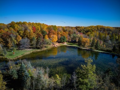 (private lake, pond, creek) Home For Sale in Farwell Michigan