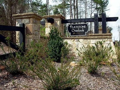 Come build your Craftsman home on this outstanding elevation - photo 1