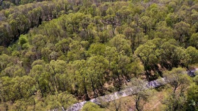 Lake Acreage For Sale in Galena, Missouri