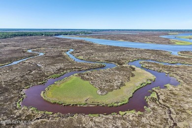 Welcome to your private retreat in the gated community of Herons - photo 47
