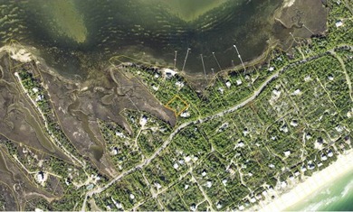 1 acre lot on marsh with potential views of the bay. Perfect - photo 1